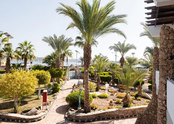 Turquoise Beach Hotel