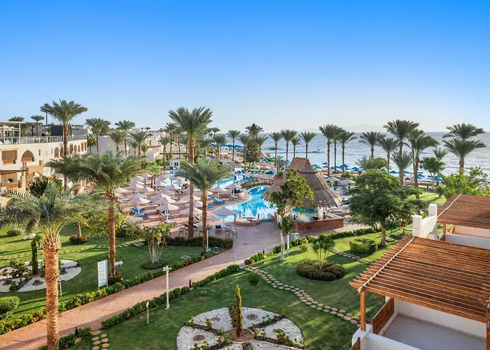 Pickalbatros Royal Grand Sharm - Adults Friendly 16 Years Plus - Couples Only